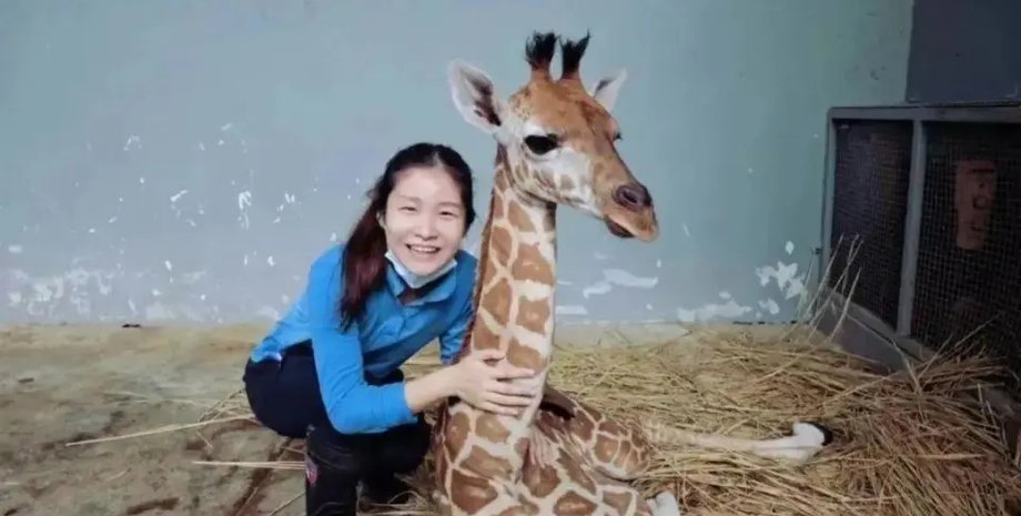 Ма Я с жирафом