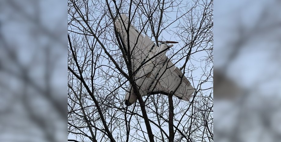 Дрон ЗС РФ, російський дрон, дрон РФ обстріл 29 листопада, Повітряні сили про обстріл 29 листопада, удар РФ 29 листопада