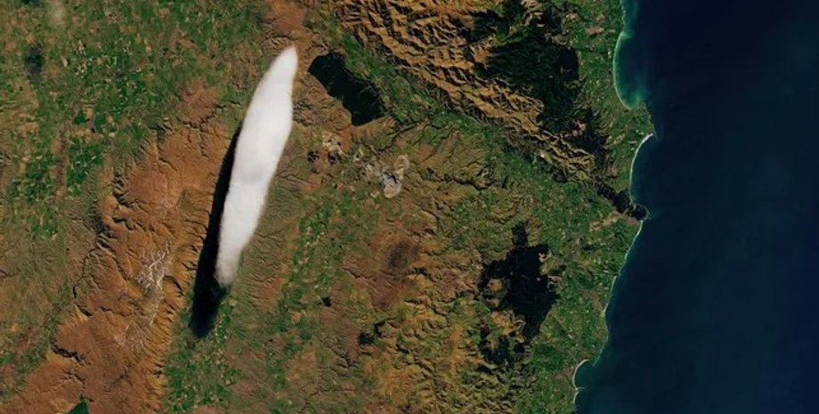 облако, облако питомец