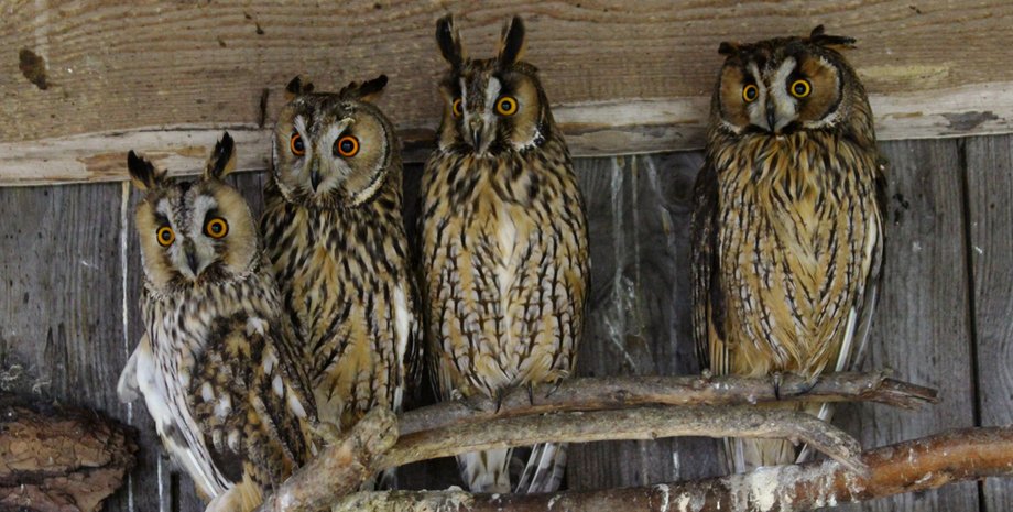 Фото: Юлия Радченко