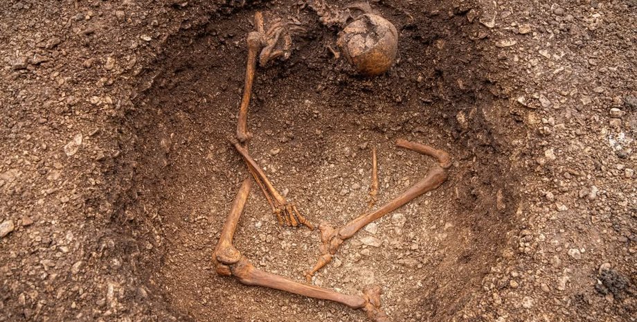 древний скелет галла