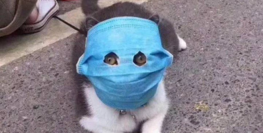 Фото из соцсетей