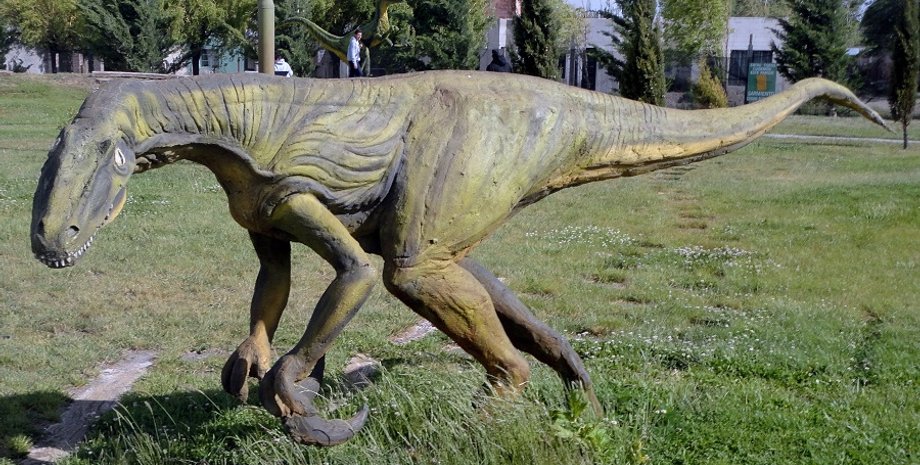 Фото: Wikimedia Commons