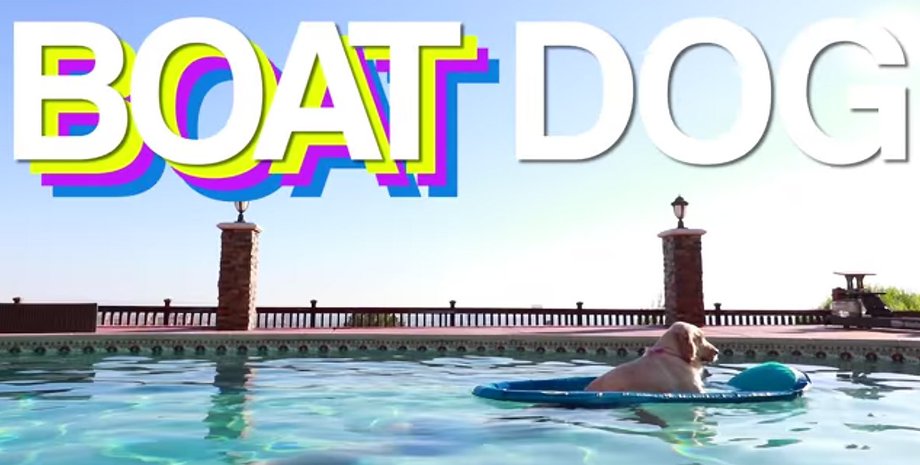 Скриншот видео