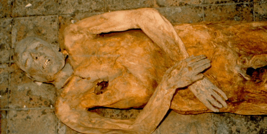 мумия Джованни, пол, фото