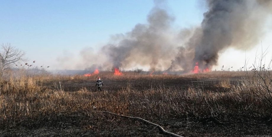 Фото: Facebook/Alexandr Podlasov