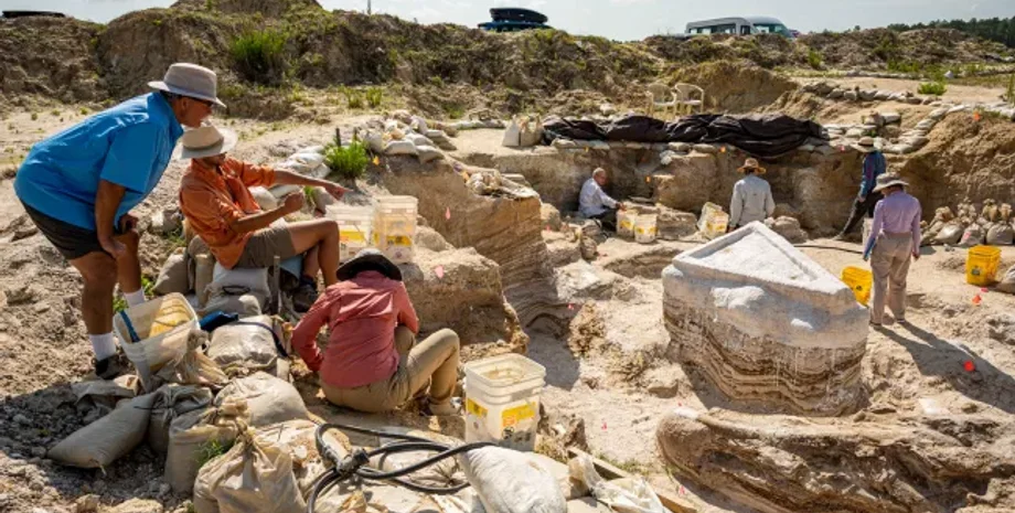 слоны, кости, раскопки, исследования, окаменелости, река, Флорида, палеонтология, вымершие виды, родственники слонов, биология, музей, древние животные, скелет