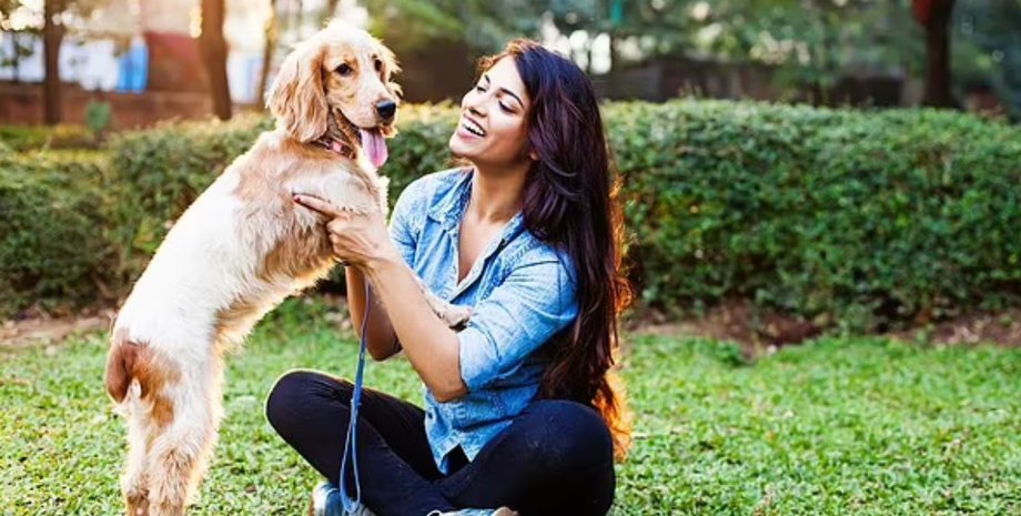 собака, жінка