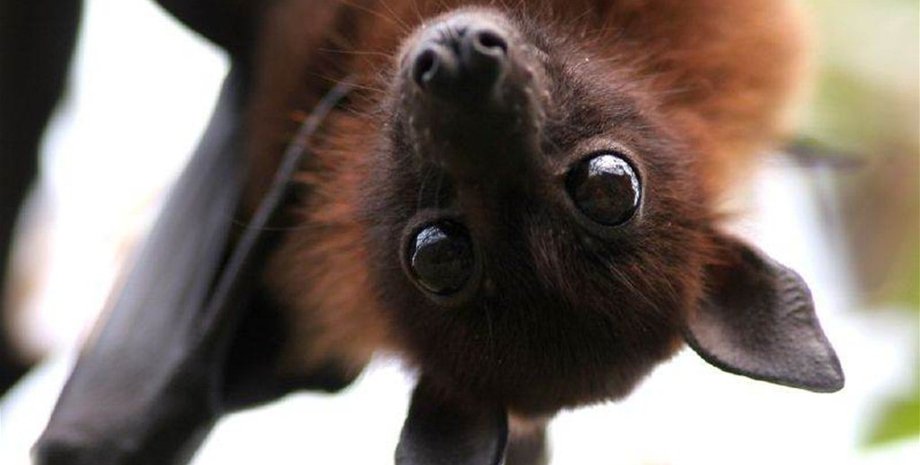 Иллюстративное фото