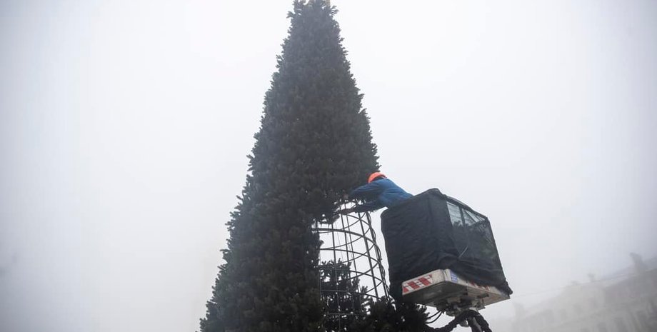 головна ялинка країни, ялинка незламності, ялинка в Києві, новорічна ялинка в Києві