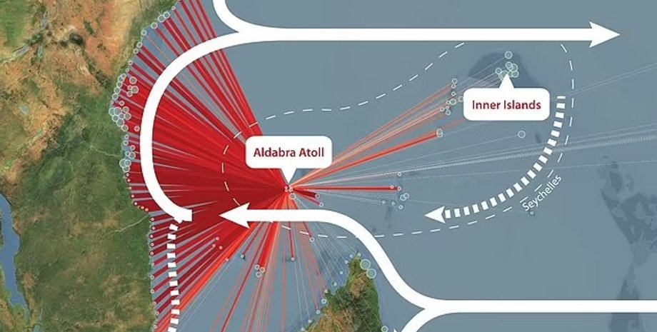 океан, коралловые рифы, коралловая магистраль