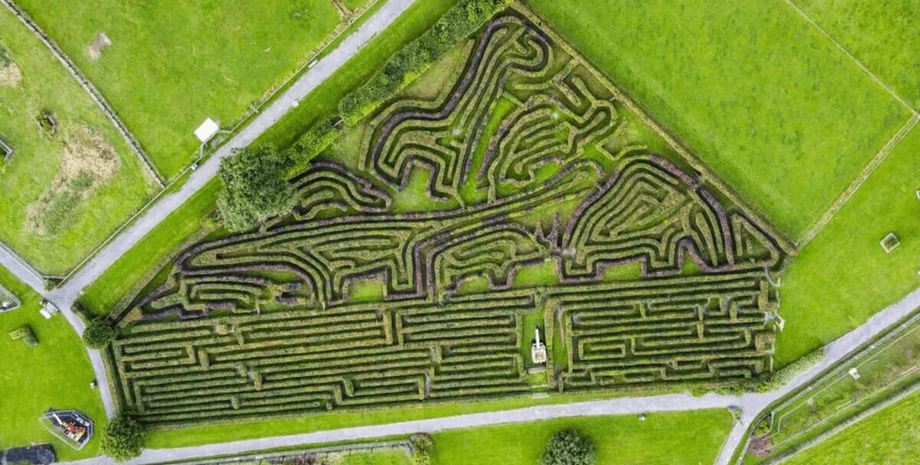 Самый длинный лабиринт в Великобритании, живая изгородь, загадочный лабиринт, лабиринт, деревья, зоопарк, ферма,