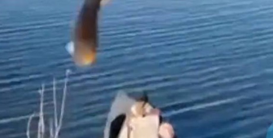 новости херсона, новости херсонщины, рыбалка, рыбина, дрон, бпла, беспилотник, война в украине