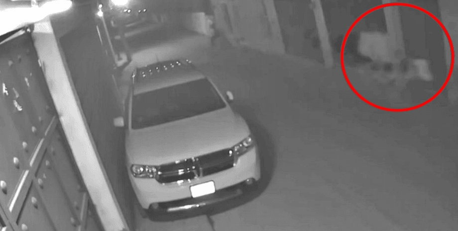 Всадник без головы на улицах в Мексике, курьезы, интересности, странные случаи, мистика, невероятные приключения