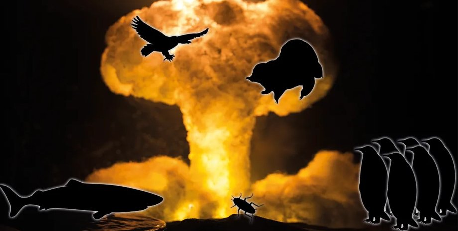 апокалипсис, катастрофа на земле, катастрофа на планете