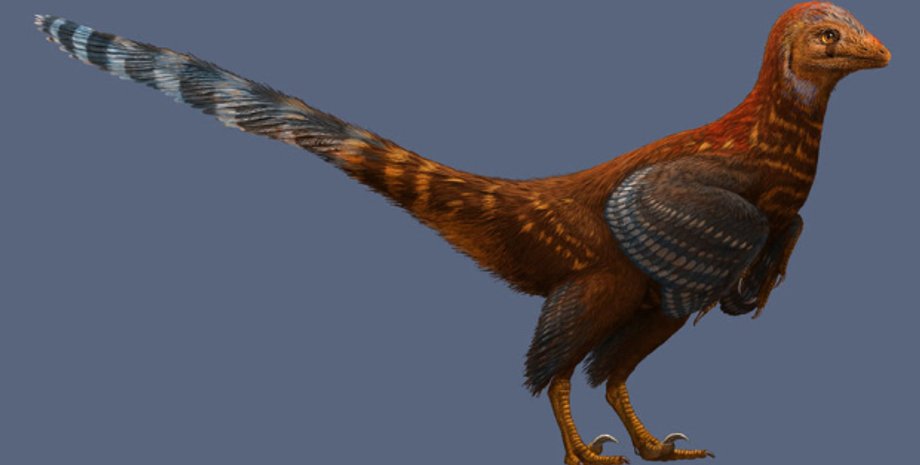 Реконструкция Jianianhualong tengi / Иллюстрация: Xing Xu et al / Nature, 2017