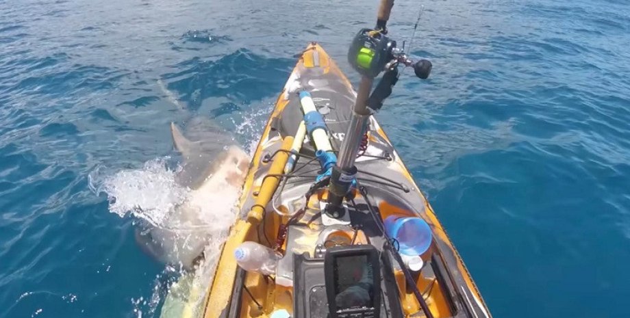 Тигровая акула атаковала рыбака