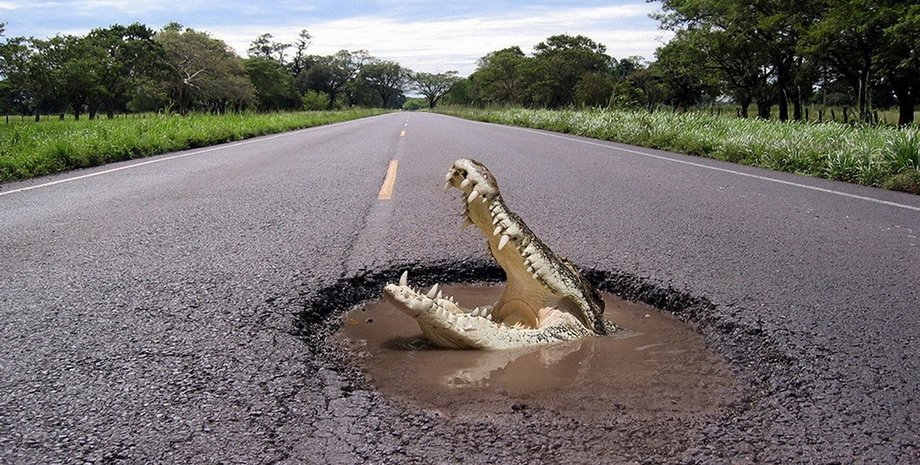 Фото: Лиман.City