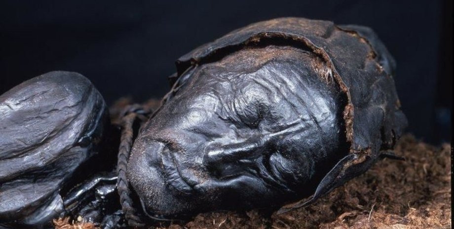 человек из толлунда, железный век, торфяные болота, болтные люди, мумии