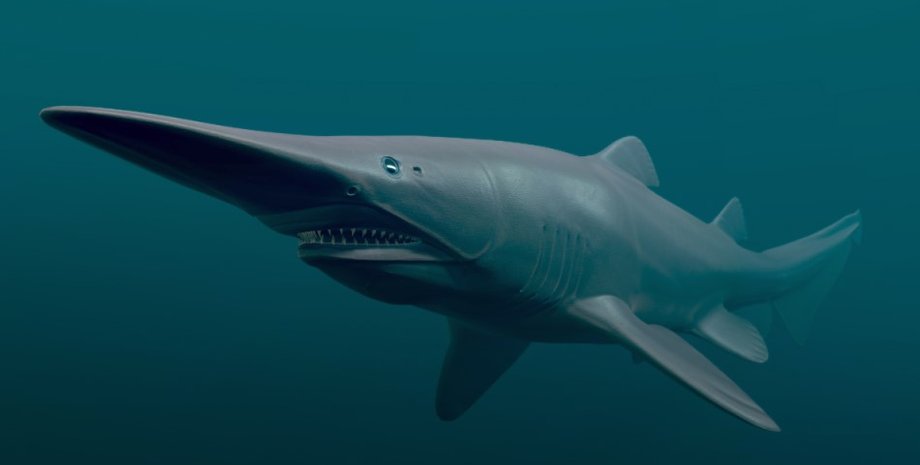 акула гоблин