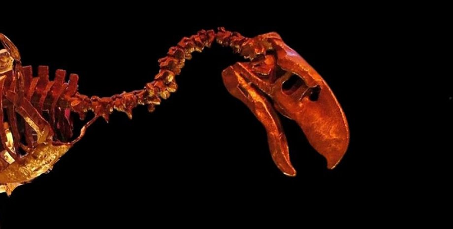 птах жаху, доісторичні птахи, птахи гіганти, птахи жаху