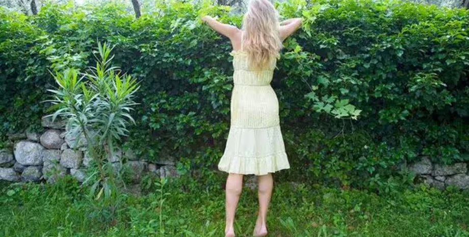 Женщина отказалась передвинуть свой забор по прихоти соседки