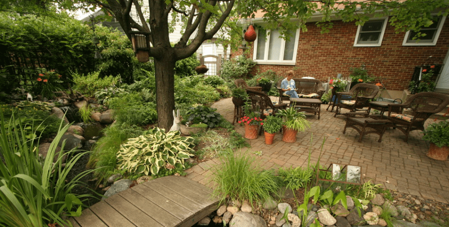 Задний двор, возле дома Женщина нашла могилу собаки во дворе