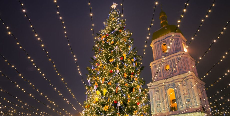 киев, елка, софийская площадь, новогодняя елка, арт-объект, демонтаж