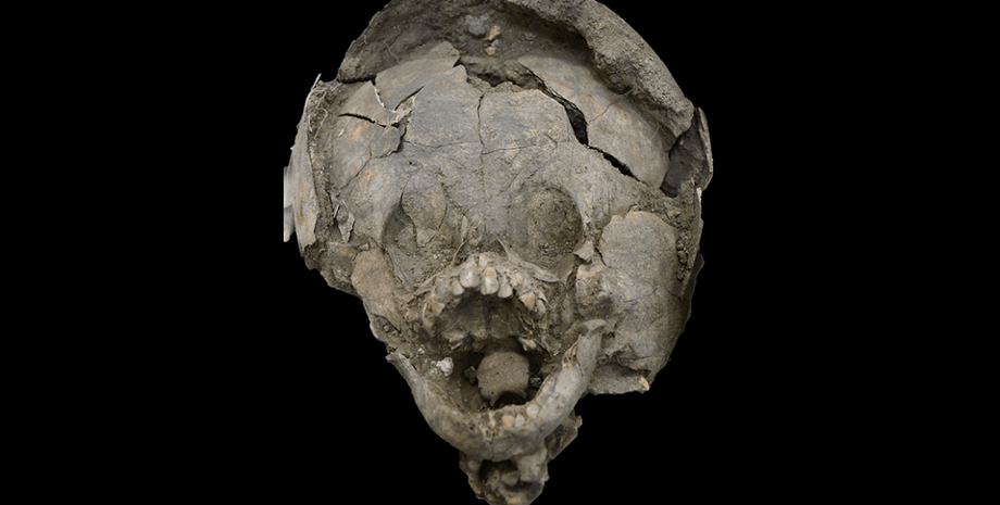 Фото: Sara Jeungst