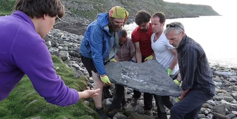 Палеонтологи, скам'янілість, птерозавр