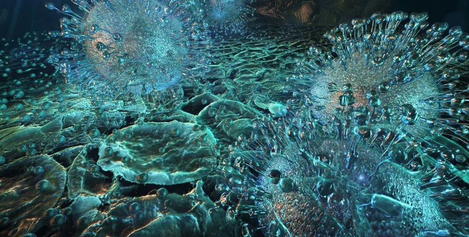 вирус, море, океан