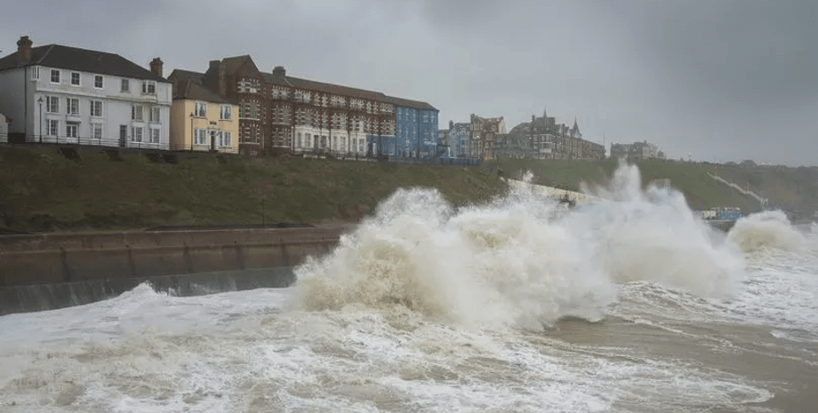 Собака спасла овец, овчарка, овцы, наводнение в Британии, наводнение, шторм Бабет, фермер, паводок, вода, сильные дожди
