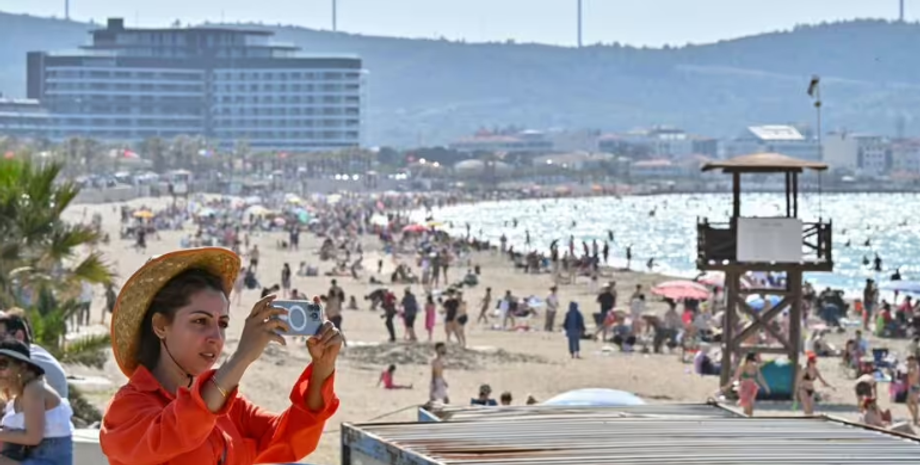 Турцию массово покидают туристы из-за принятия нового закона об отлове животных, что произошло, варварские правила