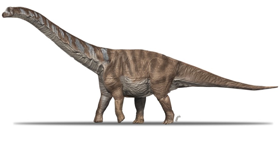 Титанозавр, Abditosaurus kuehnei
