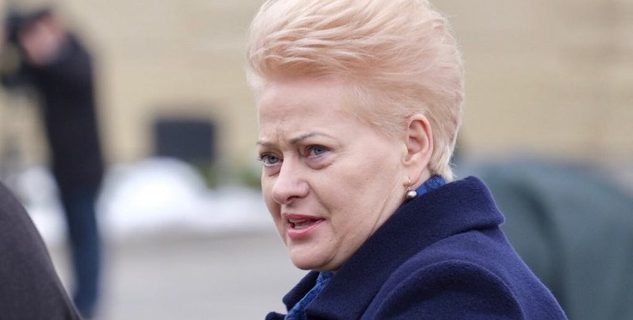 Даля Грибаускайте, Грибаускайте, президент Литвы, коррупция, минобороны Украины, Украина, коррупция в Украине