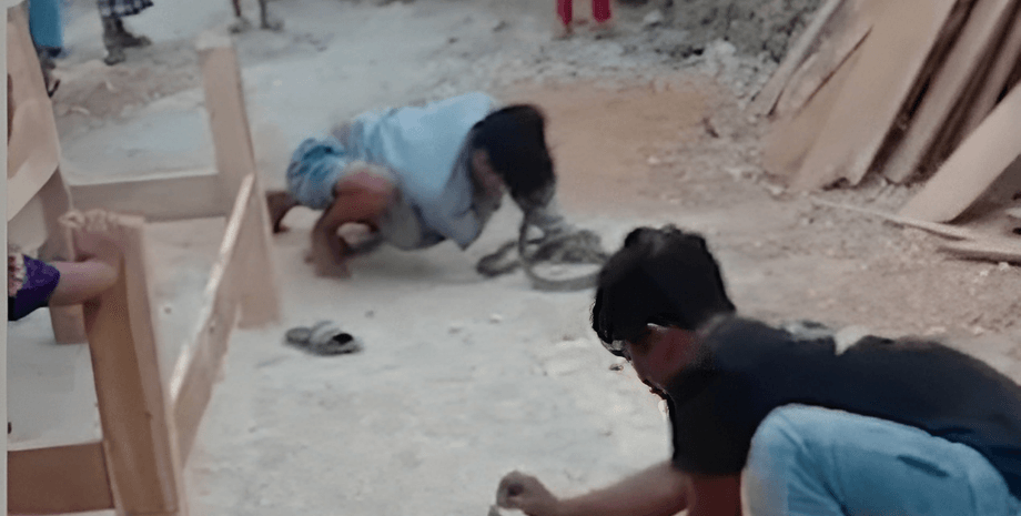 Группа любителей рептилий собирала чаевые у местных жителей