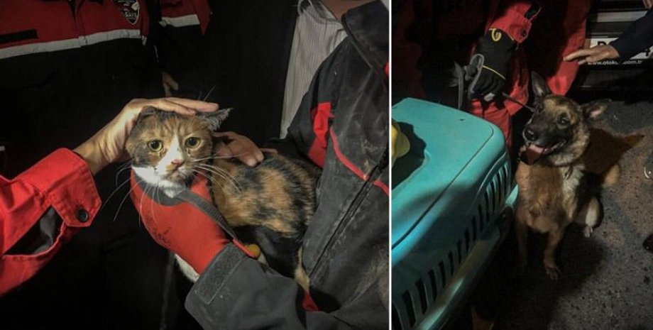 Фото: egepostasi