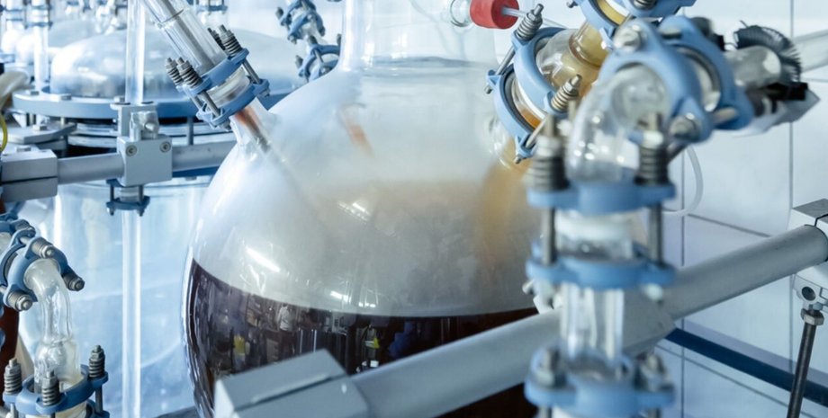 переробка пластику переробка пластику, пластик, чорна цвіль, гриб