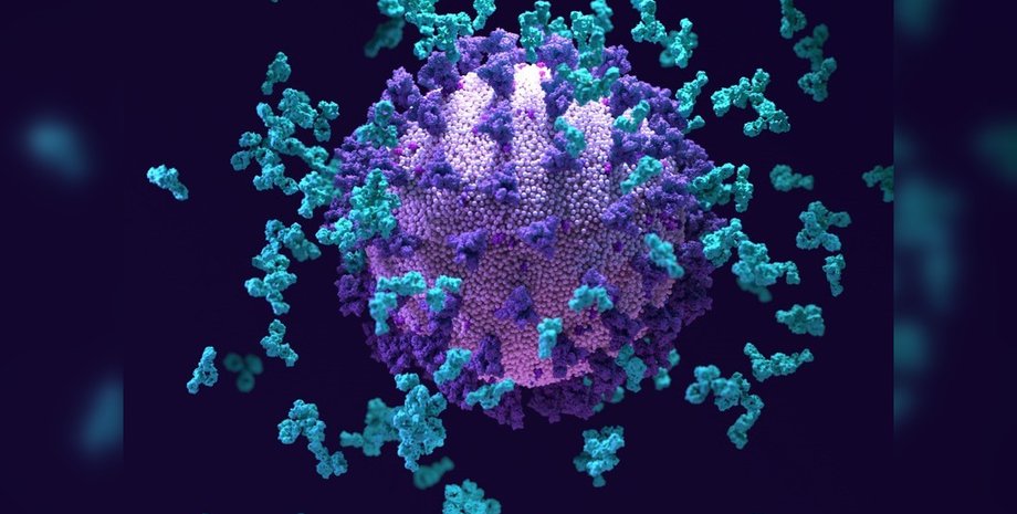 Коронавирус, антитела, пандемия коронавируса