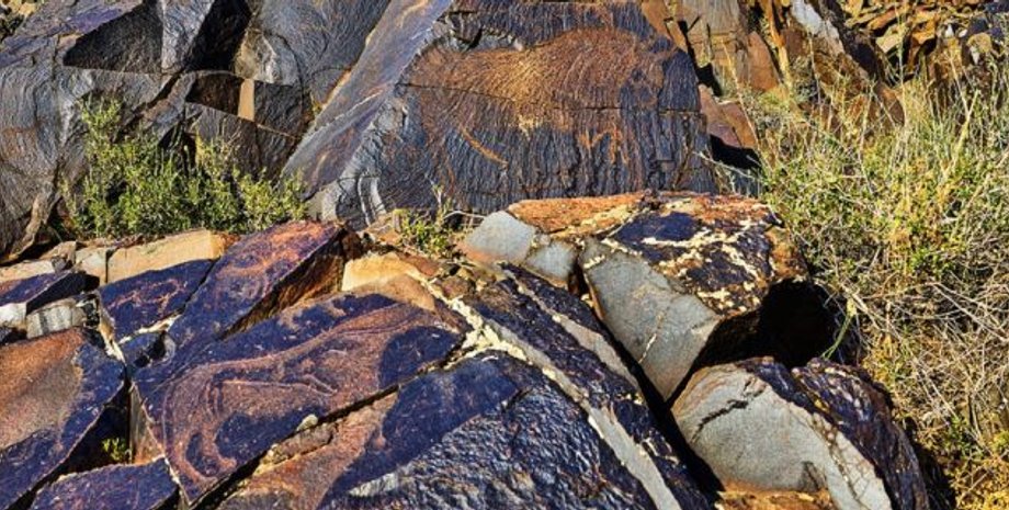 археологи, археология, Казахстан, монета, находка, тюрки, Азия, раскопки, надпись, язык, артефакт, тамга, исследование, открытие