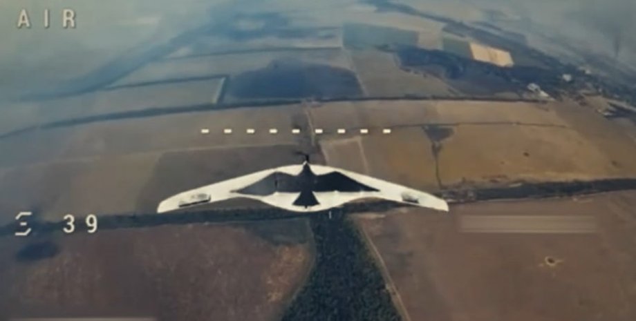 Дрон Supercam с изображением птицы