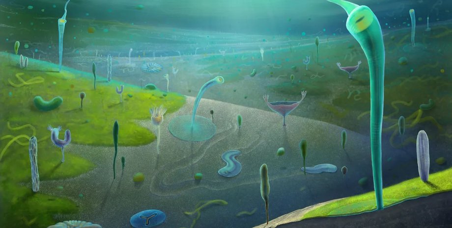 кембрійський вибух життя