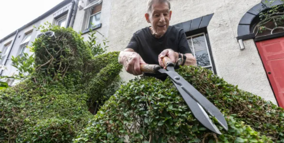 Кущ у формі оголеної жінки став визначною пам'яткою у Шеффілді, приколи, цікаві новини, курйози