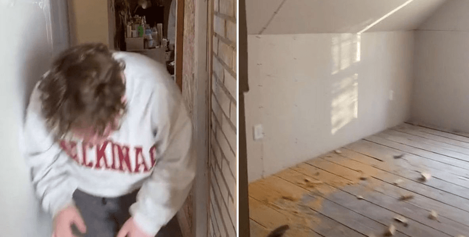 Скрытая комната, соцсети, TikTok, тайная комната, Хроники Нарнии, фантазия, снесли стену, необычная находка, находка