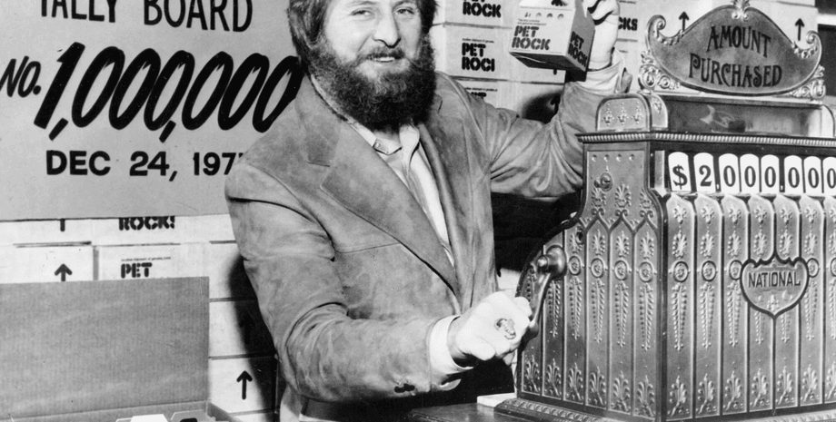Став мільйонером продаючи каміння, Pet Rock, домашній камінь, продавав каміння, феномен, жарт у барі, Гері Даль, мільйонер