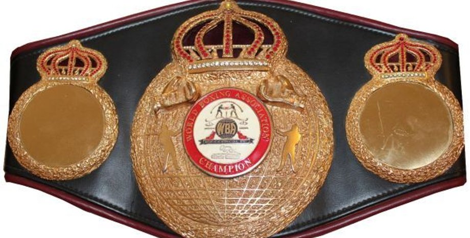 Фото: Klitschko-brothers.com