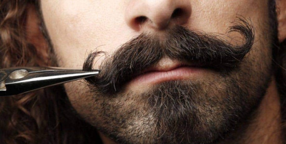 Вуса, імідж Як одягатися на співбесіду, зовнішність, імідж, курйози, Гелловін, цікаві історії, дивні випадки, курйозні випадки