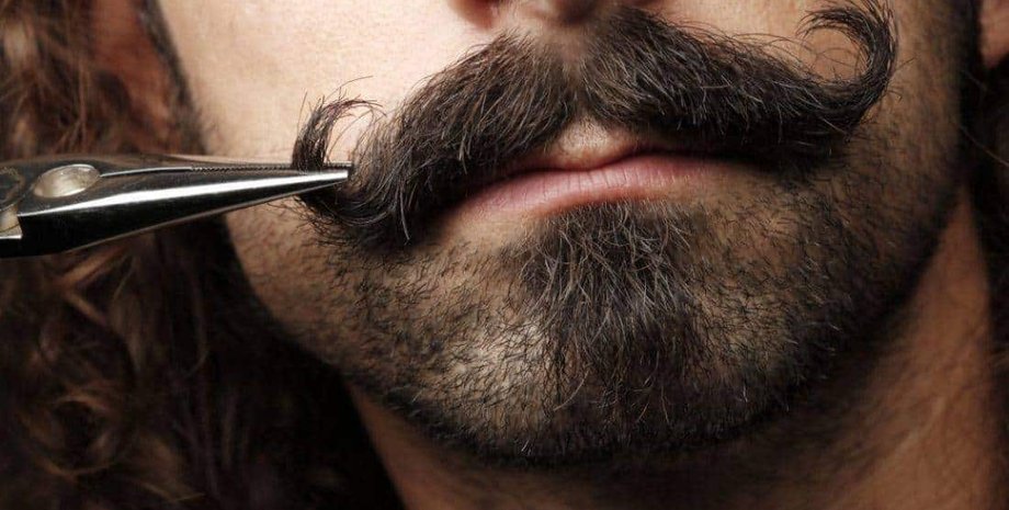 Як одягатися на співбесіду, зовнішність, імідж, курйози, Гелловін, цікаві історії, дивні випадки, курйозні випадки