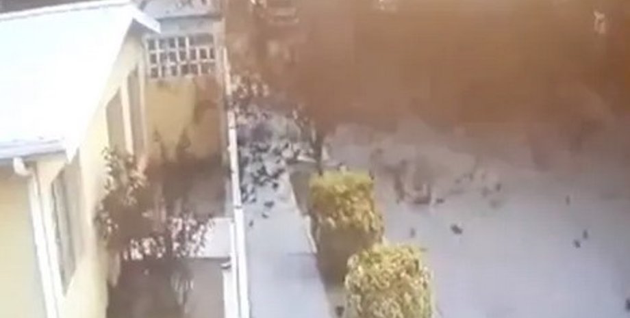 Птицы, Мексика, смерть, падение