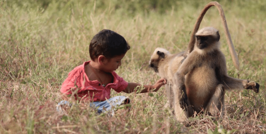 Мальчик Маугли, реинкарнация Бога, ребенок, мальчик, мальчик играет с обезьянами, кормит животных, проводил время с обезьянами